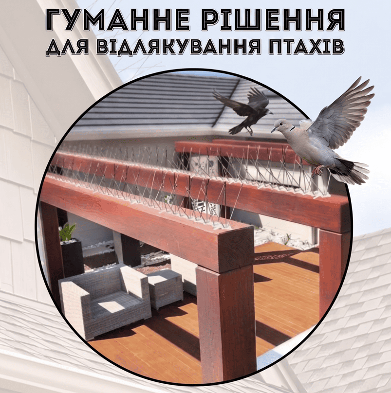 Монтаж шипів від птахів