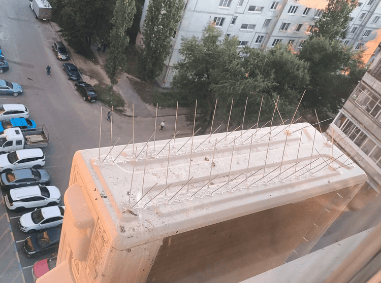 Відгук 1